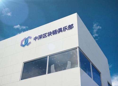 中深區(qū)塊鏈俱樂(lè)部天津軟件開(kāi)發(fā) 構(gòu)建創(chuàng)新與應(yīng)用并重的技術(shù)生態(tài)